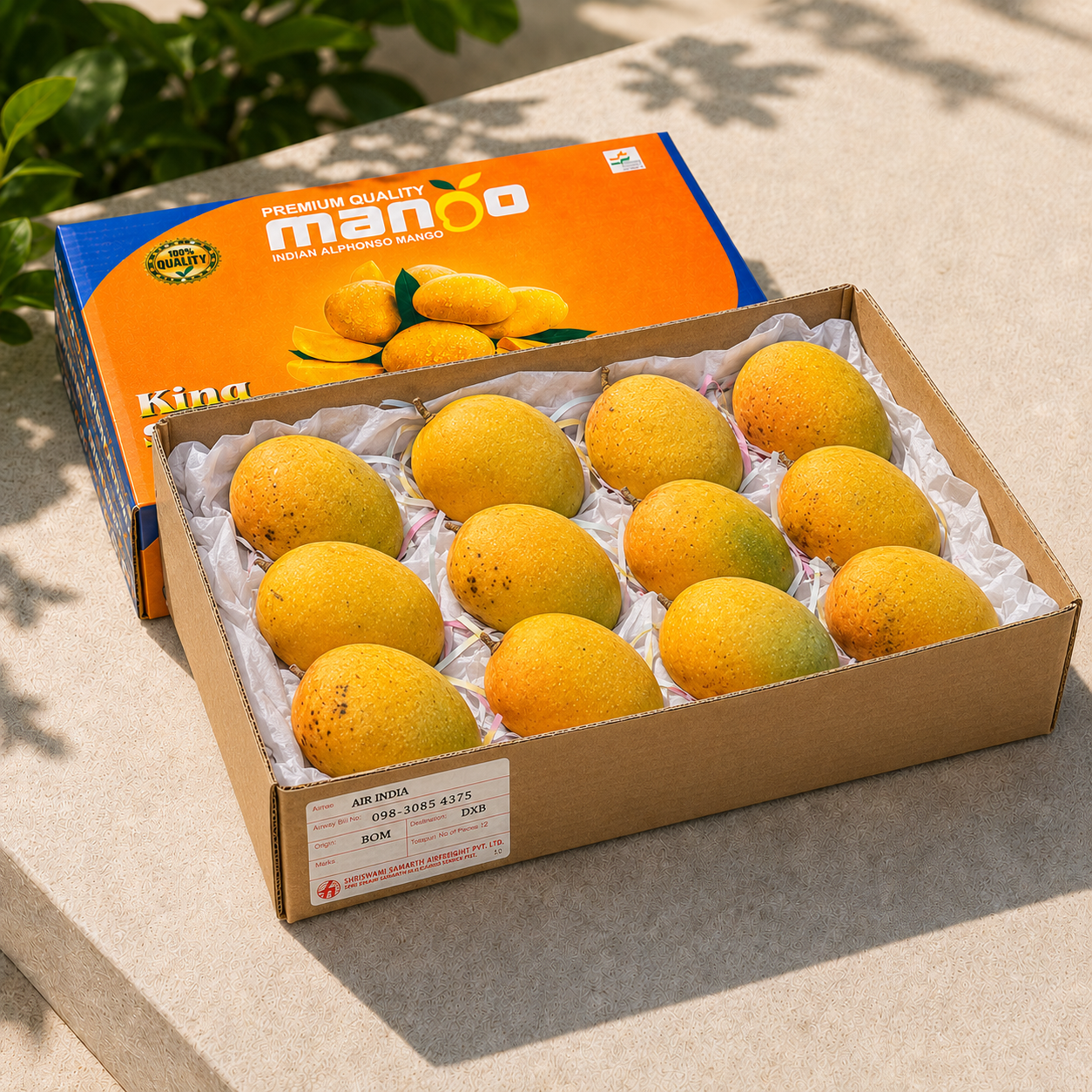 Indian Alphonso Mango - Box of 12
