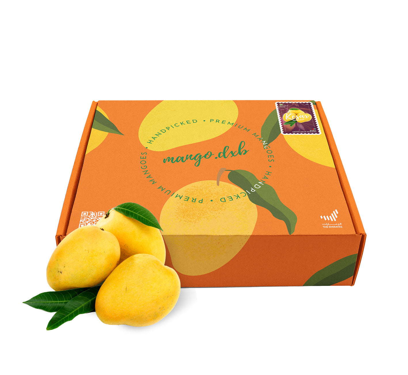 Premium Indian Gir Kesar Mangoes - Box of 12