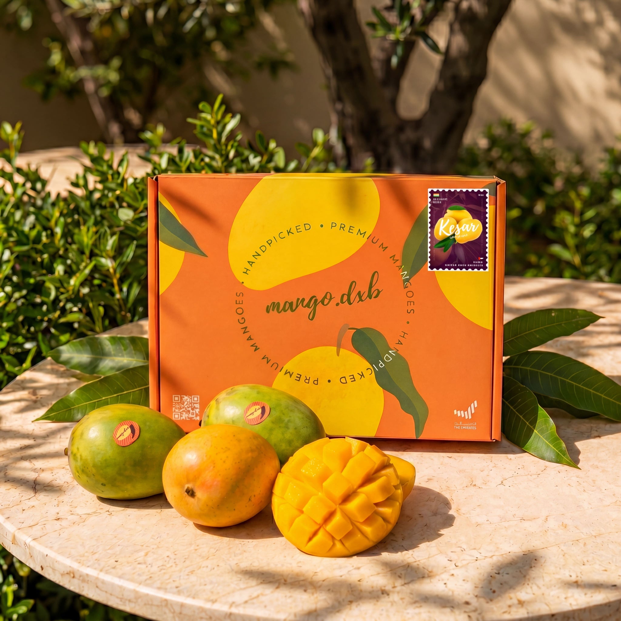mango.dxb Premium Indian Gir Kesar Mango Box
