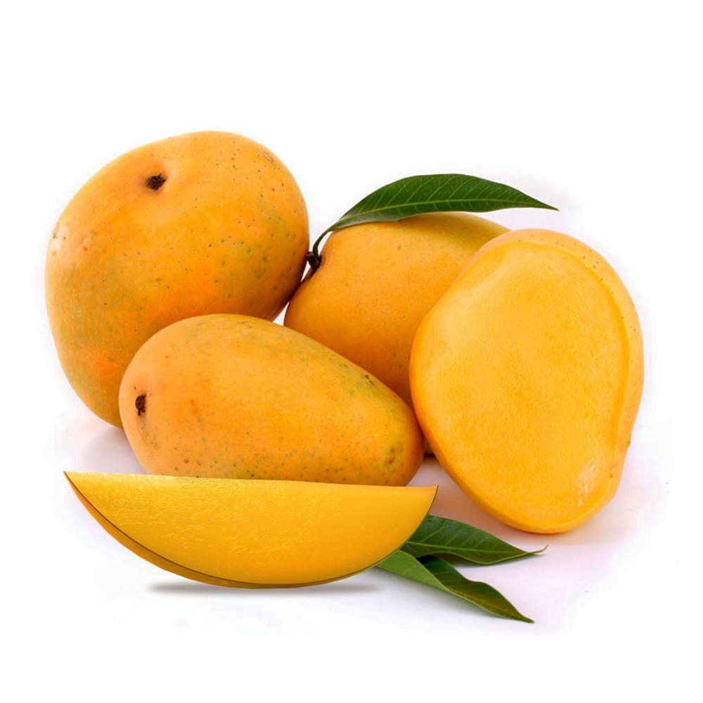 Premium Kesar Mangoes - Gift Box of 12 - Tulsidas